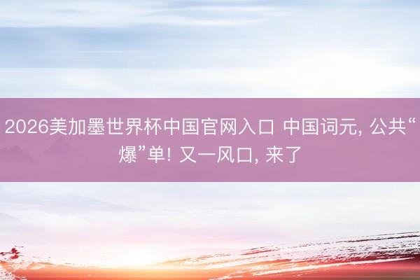 2026美加墨世界杯中国官网入口 中国词元， 公共“爆”单! 又一风口， 来了