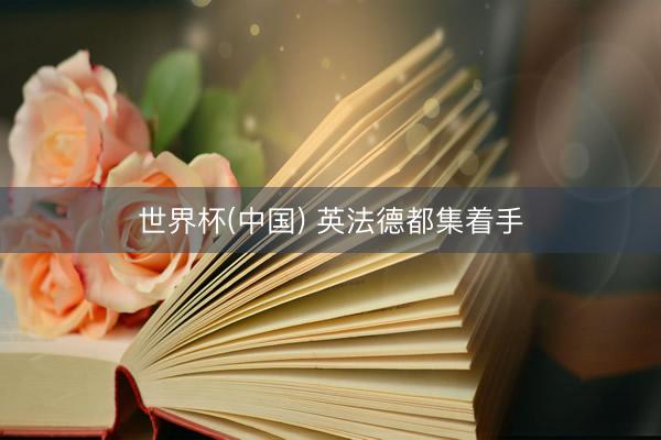 世界杯(中国) 英法德都集着手