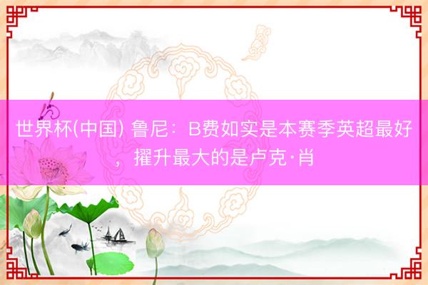 世界杯(中国) 鲁尼：B费如实是本赛季英超最好，擢升最大的是卢克·肖