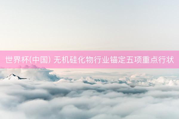 世界杯(中国) 无机硅化物行业锚定五项重点行状