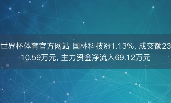 世界杯体育官方网站 国林科技涨1.13%， 成交额2310.59万元， 主力资金净流入69.12万元