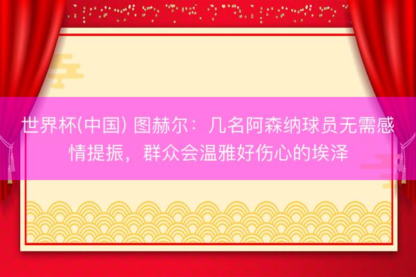 世界杯(中国) 图赫尔：几名阿森纳球员无需感情提振，群众会温雅好伤心的埃泽