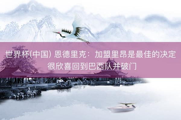 世界杯(中国) 恩德里克：加盟里昂是最佳的决定 很欣喜回到巴西队并破门