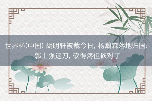 世界杯(中国) 胡明轩被裁今日, 杨瀚森落地归国: 郭士强这刀, 砍得疼但砍对了