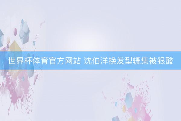 世界杯体育官方网站 沈伯洋换发型辘集被狠酸