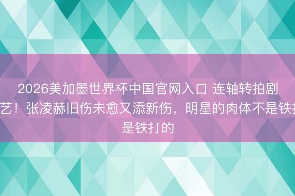 2026美加墨世界杯中国官网入口 连轴转拍剧+综艺！张凌赫旧伤未愈又添新伤，明星的肉体不是铁打的