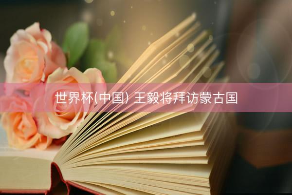 世界杯(中国) 王毅将拜访蒙古国