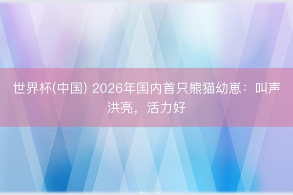 世界杯(中国) 2026年国内首只熊猫幼崽:叫声洪亮,活力好