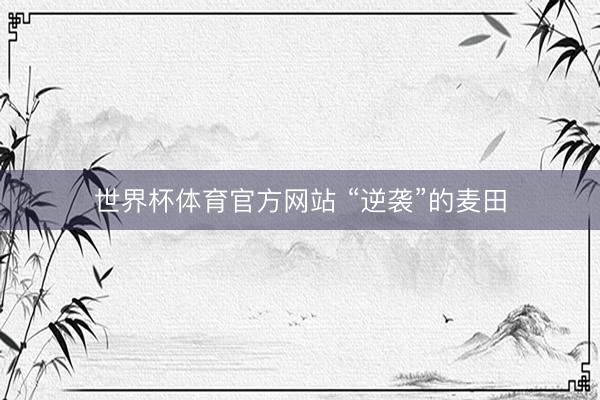 世界杯体育官方网站 “逆袭”的麦田