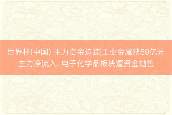 世界杯(中国) 主力资金追踪|工业金属获59亿元主力净流入， 电子化学品板块遭资金抛售