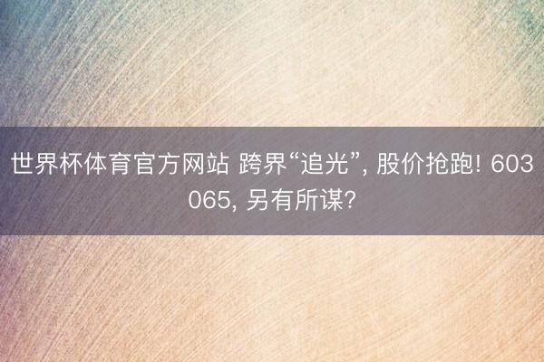 世界杯体育官方网站 跨界“追光”， 股价抢跑! 603065， 另有所谋?