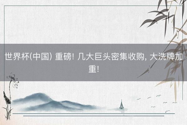 世界杯(中国) 重磅! 几大巨头密集收购， 大洗牌加重!