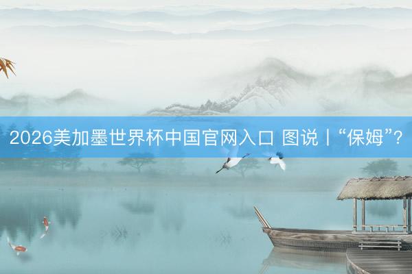 2026美加墨世界杯中国官网入口 图说丨“保姆”？