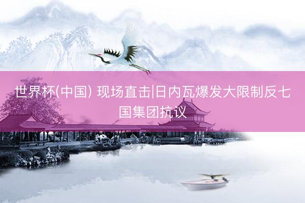 世界杯(中国) 现场直击|日内瓦爆发大限制反七国集团抗议
