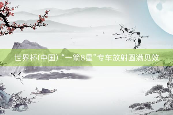 世界杯(中国) “一箭8星”专车放射圆满见效