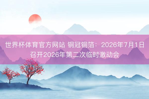 世界杯体育官方网站 铜冠铜箔：2026年7月1日召开2026年第二次临时激动会