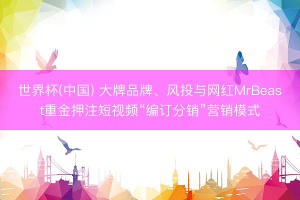 世界杯(中国) 大牌品牌、风投与网红MrBeast重金押注短视频“编订分销”营销模式