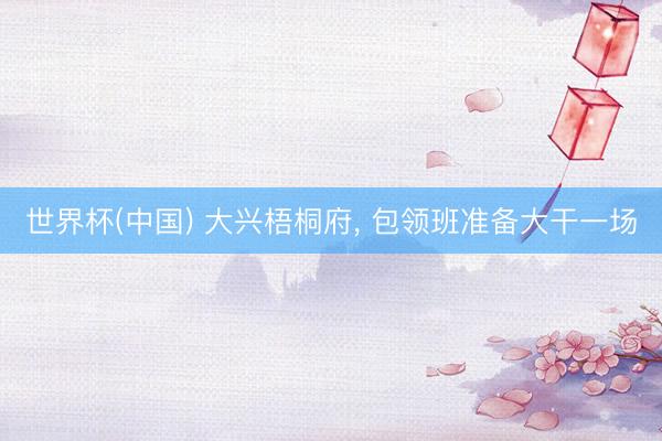 世界杯(中国) 大兴梧桐府， 包领班准备大干一场