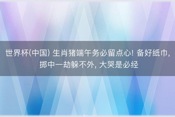 世界杯(中国) 生肖猪端午务必留点心! 备好纸巾, 掷中一劫躲不外, 大哭是必经