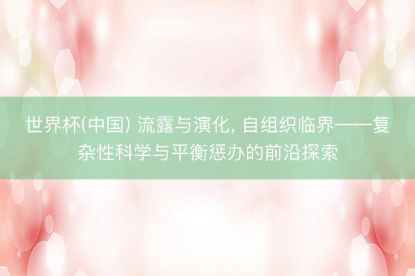 世界杯(中国) 流露与演化, 自组织临界——复杂性科学与平衡惩办的前沿探索